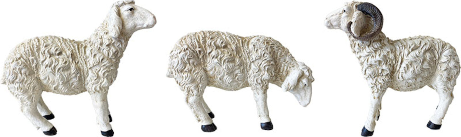 3x FADEDA Schaf äsend  / Höhe:21 cm / handbemalt / detailgetreue Krippen Figuren - Weihnachten Tisch Dekoration Krippe Zubehör
