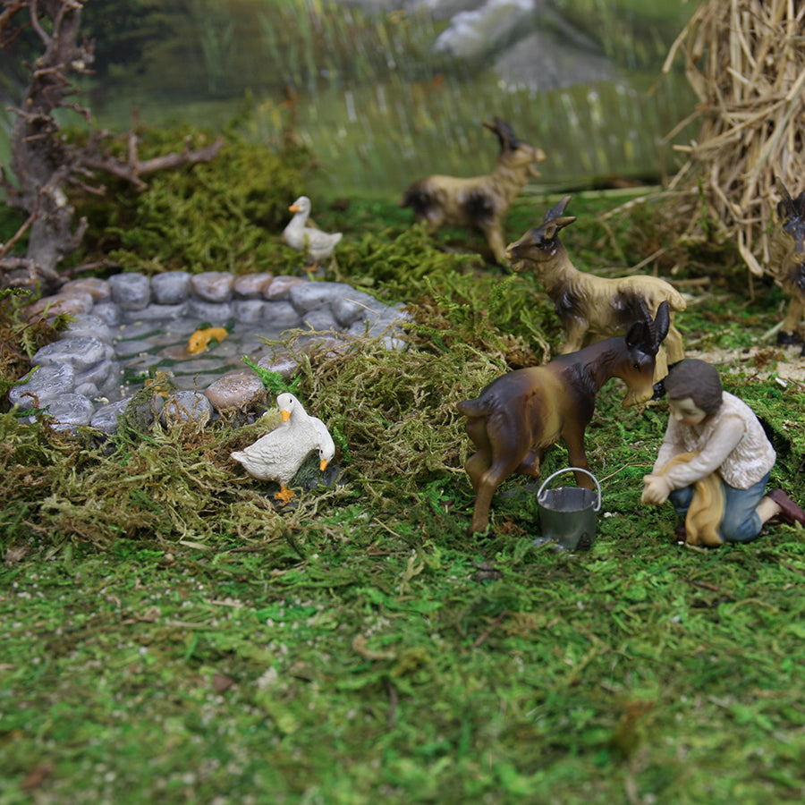 FADEDA Gartenteich mit Fischen  / Höhe:3 cm / handbemalt / detailgetreue Krippen Figuren - Weihnachten Tisch Dekoration Krippe Zubehör