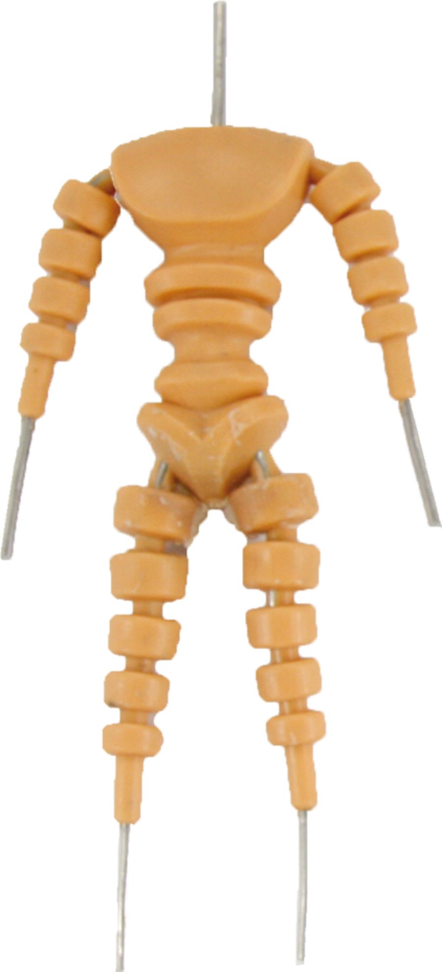 FADEDA Korpus beweglich mittel   / Höhe:15 cm / handbemalt / detailgetreue Krippen Figuren - Weihnachten Tisch Dekoration Krippe Zubehör