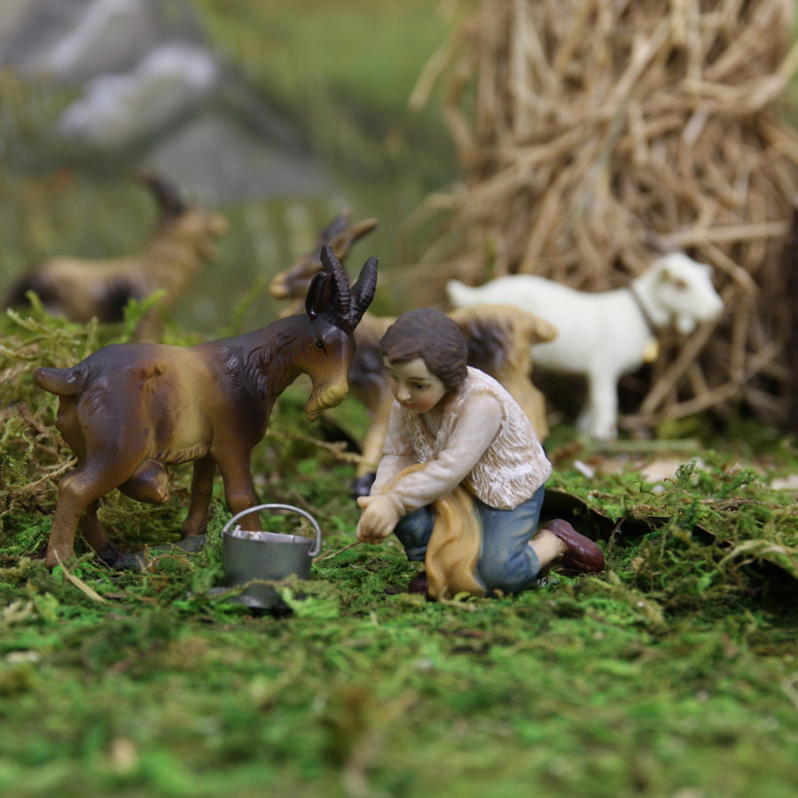 3x FADEDA Junge mit Ziege beim Melken   / Höhe:11 cm / handbemalt / detailgetreue Krippen Figuren - Weihnachten Tisch Dekoration Krippe Zubehör