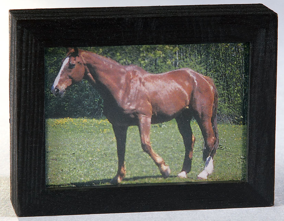 FADEDA TV Flachbild LED mit Schalter verschiedene Motive, LxBxH in mm: 80x22x62. Für Krippen, Miniatur-, Hobby- und Modellbau, Puppenhauszubehör u. Modelleisenbahn.