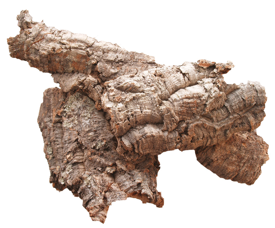 FADEDA Zierkorkrinde mittelstark - per Kg  / Höhe:55 cm / handbemalt / detailgetreue Krippen Figuren - Weihnachten Tisch Dekoration Krippe Zubehör