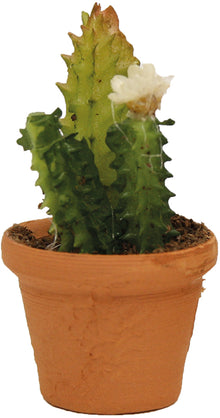 FADEDA Blumentopf, Kaktus  / Höhe:4 cm / handbemalt / detailgetreue Krippen Figuren - Weihnachten Tisch Dekoration Krippe Zubehör
