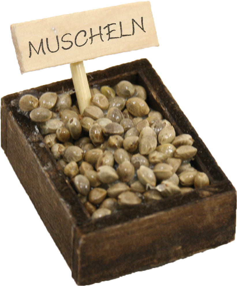 FADEDA Muschelkiste  / Höhe:3 cm / handbemalt / detailgetreue Krippen Figuren - Weihnachten Tisch Dekoration Krippe Zubehör